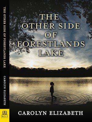 cover image of The Other Side of Forestlands Lake
